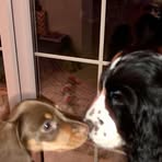 Sue Somerville - Facebook
