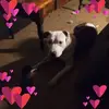 Sueson Krauss - @sueson.krauss - TikTok