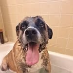 Sue Sowers - @sowerssue77 - Instagram