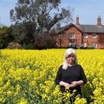 Sue Spinks - @spinks.sue - Instagram