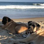 Sue Staats Sauer - @sue_staats_sauer - Instagram