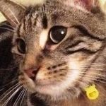 Sue Dianne Stackhouse - @stackhousesue - Instagram