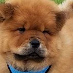 Sue Ogilvie Stackhouse - @sustackhouse - Instagram