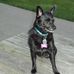 Sue Stackhouse - Facebook