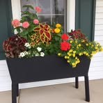 Sue Stahl - Facebook