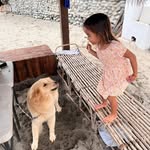 Sue Stahl - @axogomik2004 - Instagram