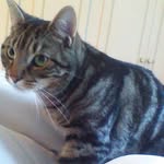 Sue Stanley - @sue.stanley.7792 - Instagram