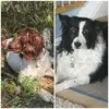 Sue Stanley - @sue.stanley62 - TikTok