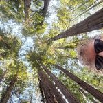 Sue Hawkins Staples - @staples_sue24 - Instagram
