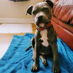 Sue Staples - @sue.staples.969 - Instagram