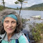 Sue Staples - @systaples - Instagram
