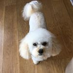 Sue Staples - @staples.s - Instagram