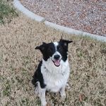sue steed - @sue_brielle11 - Instagram