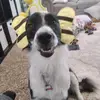 sue steed - @sue_notfound14 - TikTok