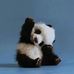 Sue Stickney - Facebook