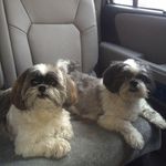 Sue Stoddard - @suestod - Instagram