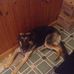 Susan Stoddard-Guthrie - Facebook