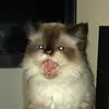 Ksss - @kristysuestrausssmith - TikTok