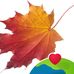 Sue Strauss - Facebook