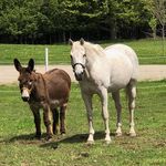 Sue Strom - @sue.strom.7712 - Instagram