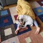 @sue.struthers - Instagram