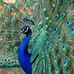 Susan Struthers - Facebook