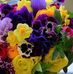 Sue Taber - Facebook
