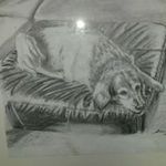 Sue Taber-Weldon - @taberweldon - Instagram