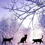 sue tall - @tall.sue9 - Instagram