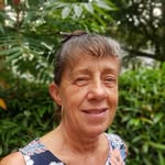Sue Tallamy - @suetallamy - Instagram