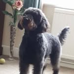Sue Tallett - @sue.tallett - Instagram