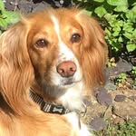 Sue - @sue_tapp10 - Instagram
