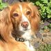 Sue Tapp - Facebook