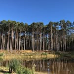 Sue Tappin - @tappinsue - Instagram