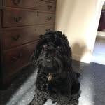 Sue Tappin - @suetappin - Instagram