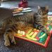 Susan Teller - Facebook