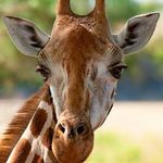 Sue Temple - @sue.temple.5555 - Instagram