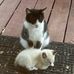 Sue Temple - Facebook