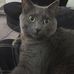 Sue Thornton - Facebook