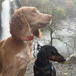 Sue Thornton - @sue.thornton.7315 - Instagram