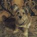 Sue Henderson Tidwell - Facebook