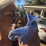 Sue Pierce Tidwell - @suetidwell - Instagram