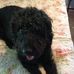 Sue Tidwell - Facebook