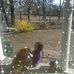 Sue Tidwell - Facebook
