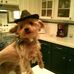 Sue Tidwell - Facebook