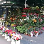 Susan Maree Tilden - @susan.m.tilden - Instagram