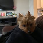 Susan Tilden - @tilden.susan - Instagram