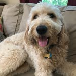 Susan Tilden - @audslp - Instagram