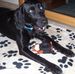 Sue Tipple - Facebook