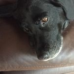 Sue Tipple - @susan.jess27 - Instagram